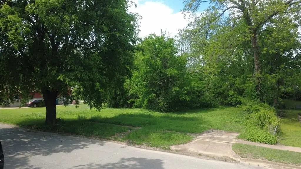 Picture 4