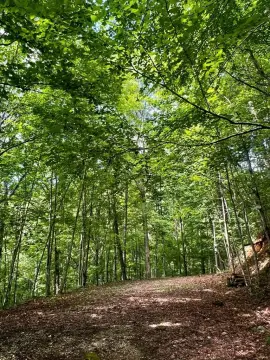 Residential Land in Robbinsville (Graham)