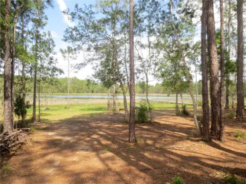 Ocala Forest Lakefront Land