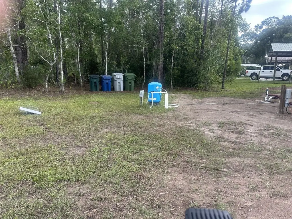 Picture 11