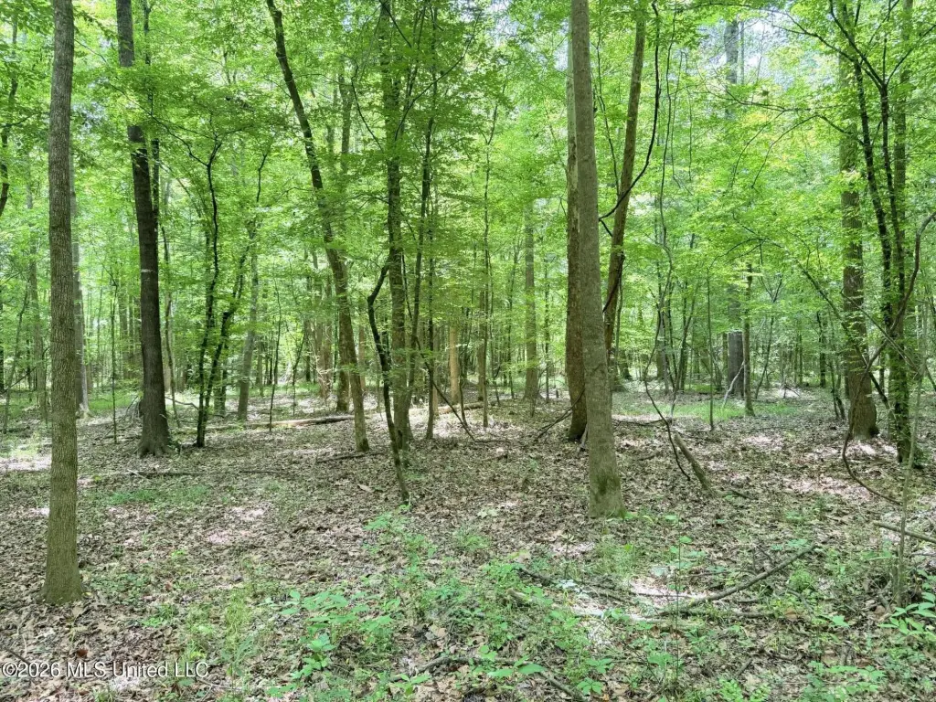 Picture 20