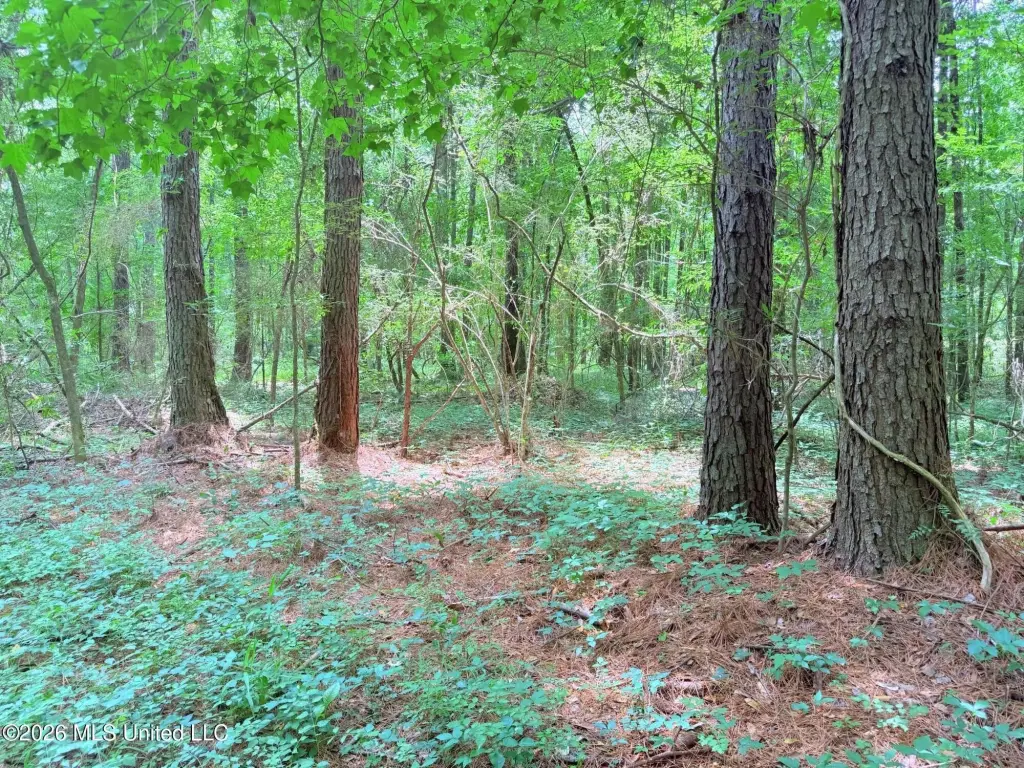 Picture 25