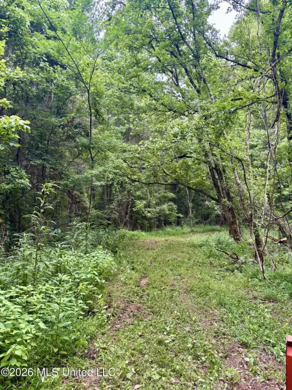 Picture 5