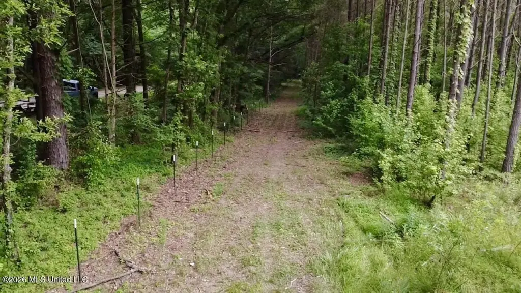 Picture 24