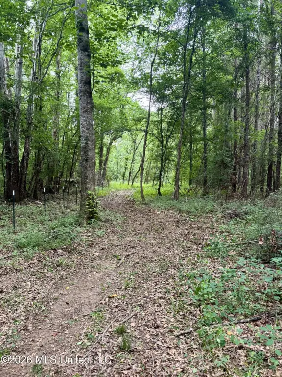 Picture 36
