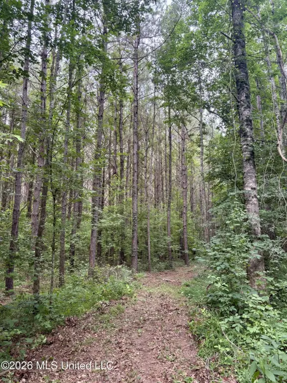 Picture 23