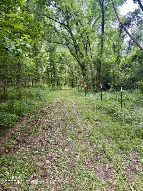 Picture 25