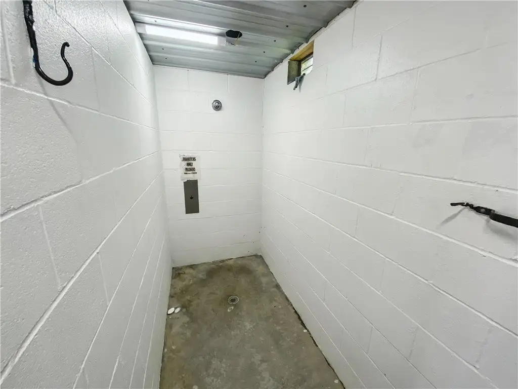 Picture 18