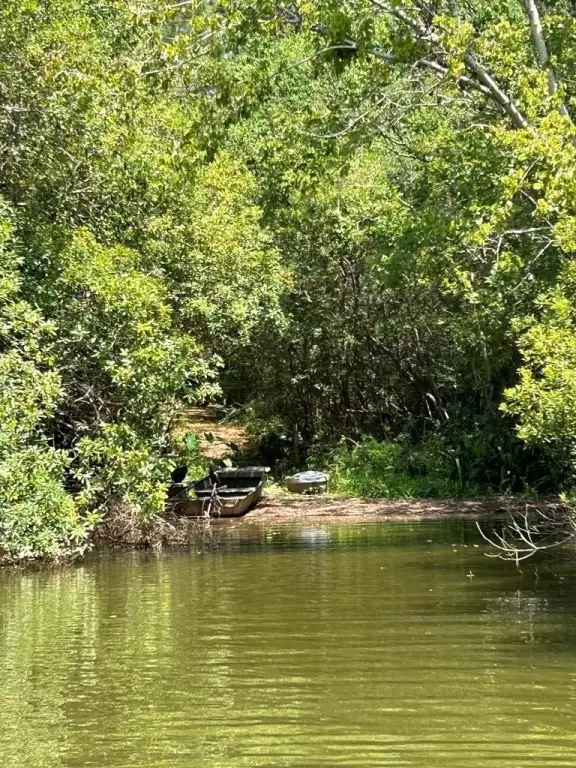 Picture 5