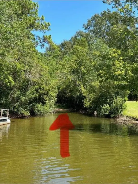 Picture 3