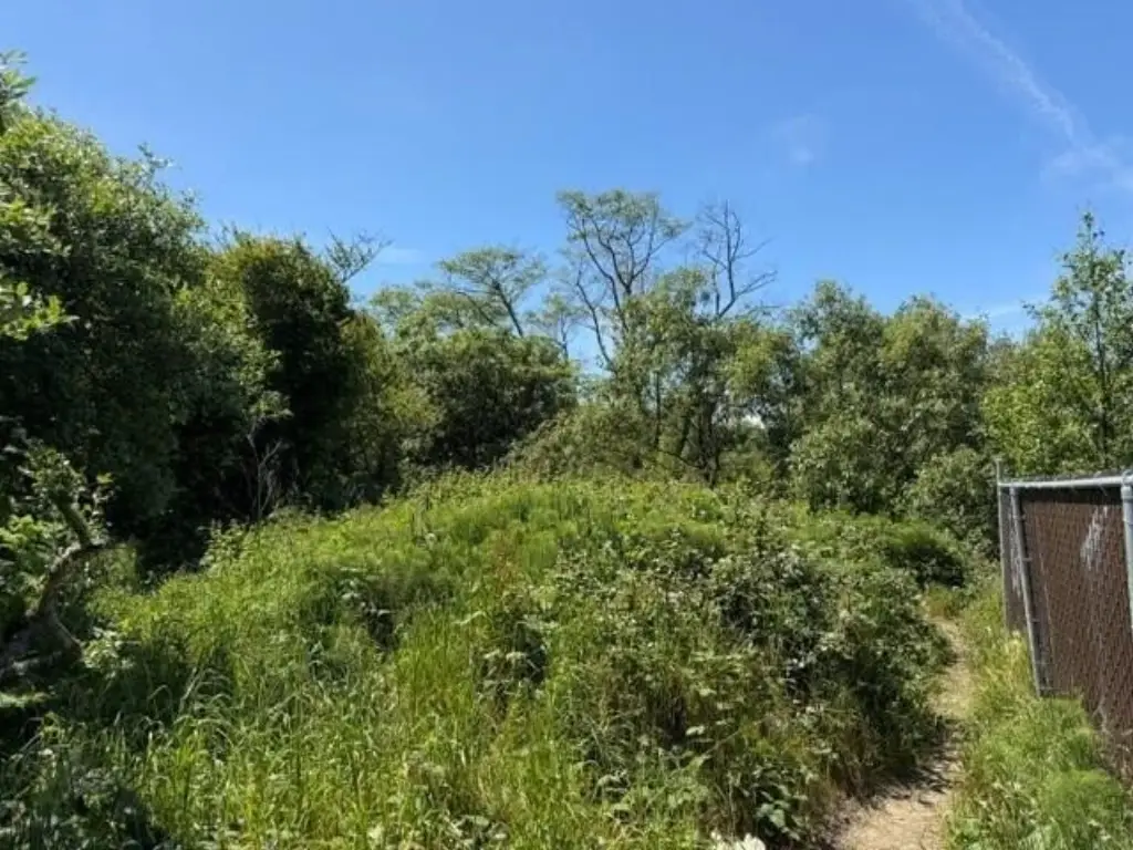 Picture 21