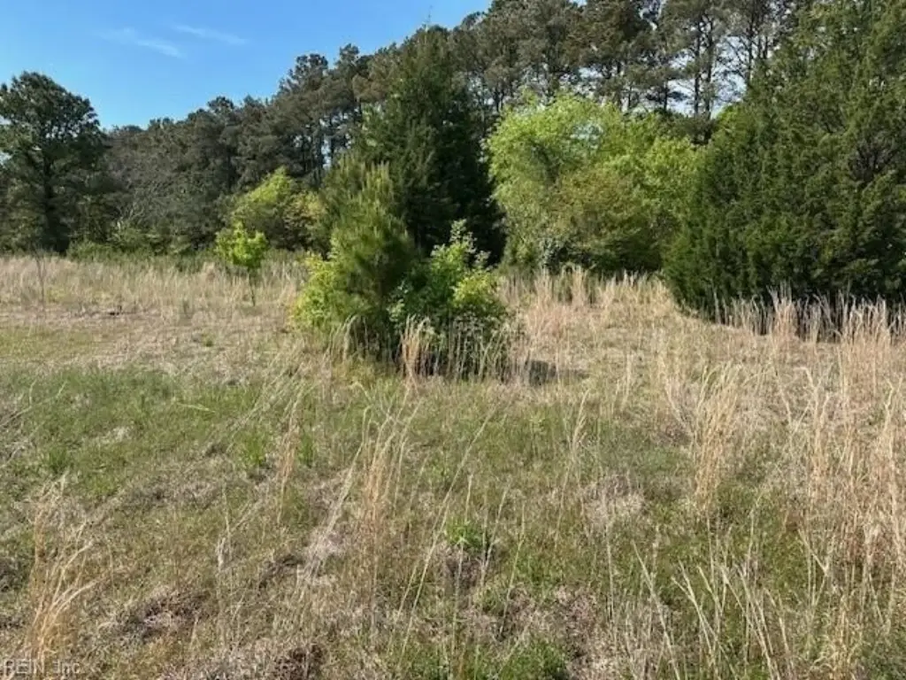 Picture 4
