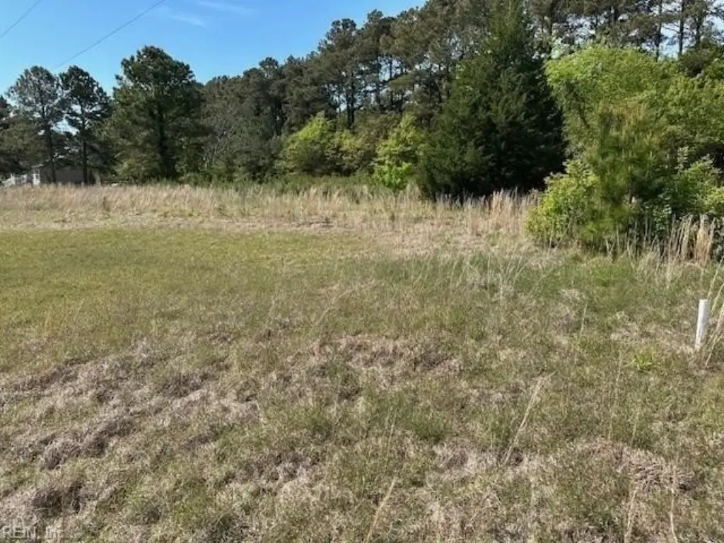 Picture 3