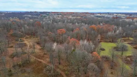 Prime Hunting Land in Farwell