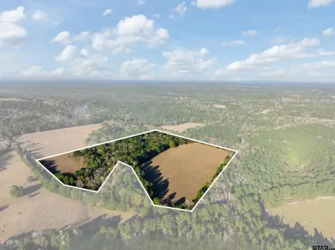 Land with Mature Wooded Areas