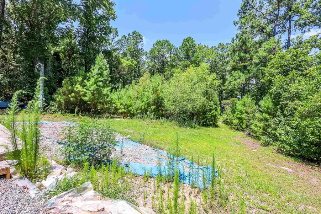 Picture 5