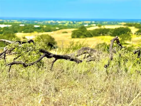 20 Acres of Unimproved Land