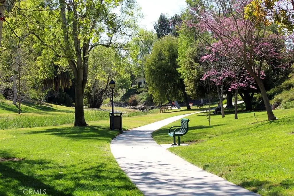 Picture 37