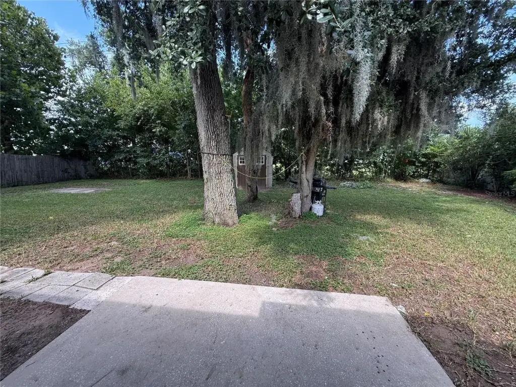 Picture 16