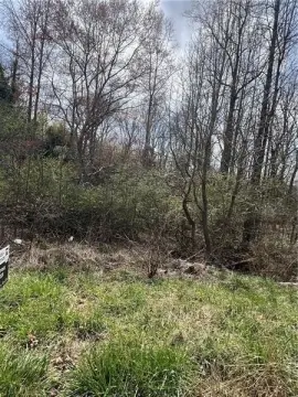 Wooded Lot in Douglasville