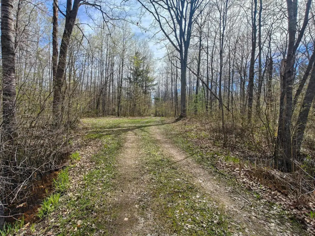 Picture 26