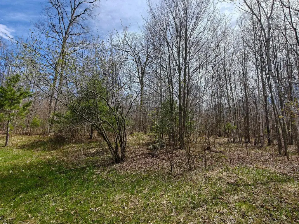 Picture 20