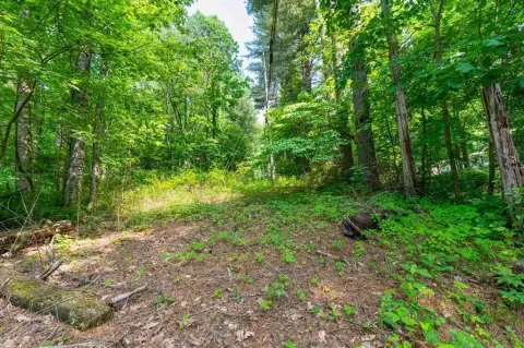 Unrestricted Wooded Land in Sylva