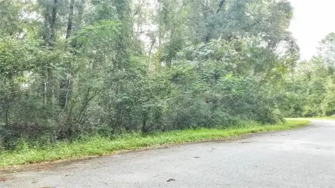 Land in Growing Citrus Springs