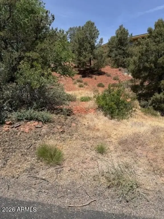 Picture 12