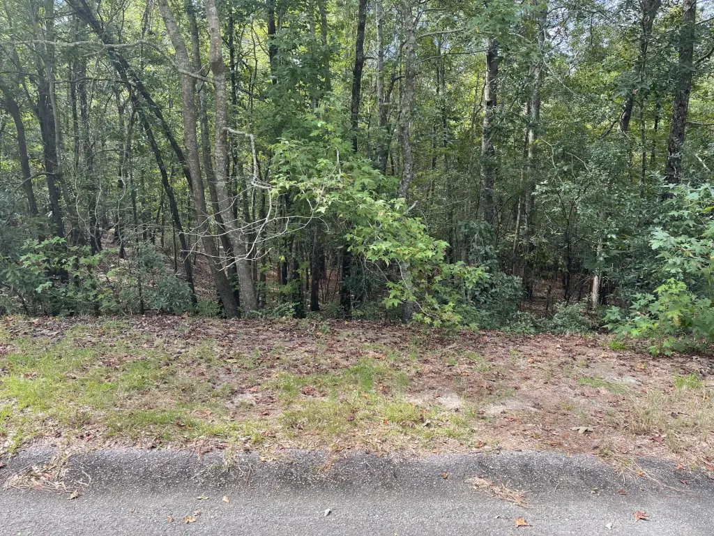 Picture 14