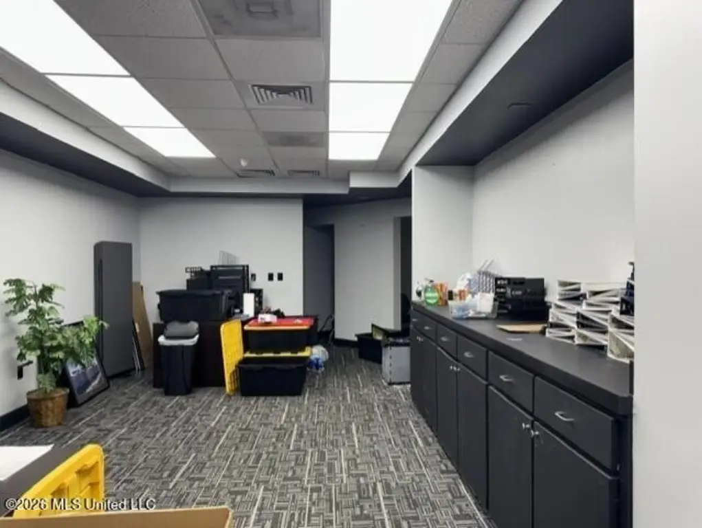 Picture 14