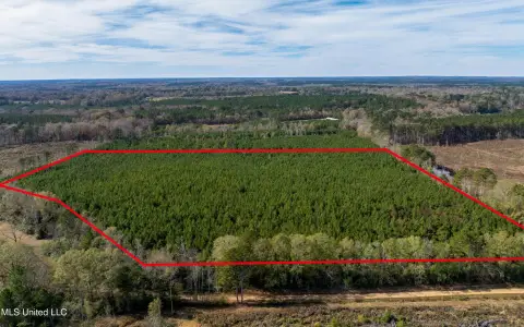 37 Acres in Morton, MS