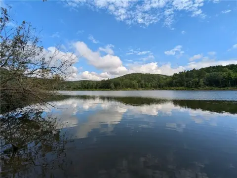 Greers Ferry Lakefront Acreage