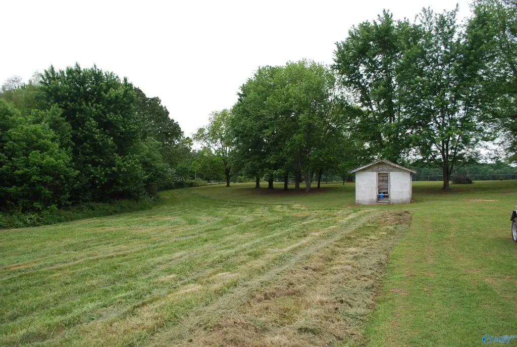 Picture 12