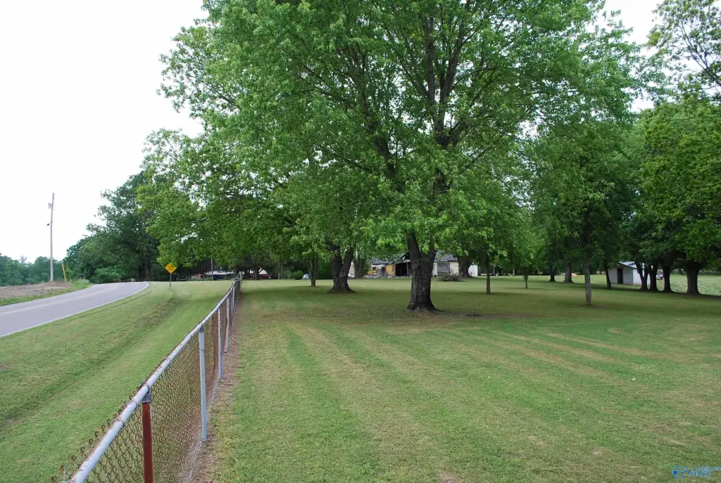 Picture 14