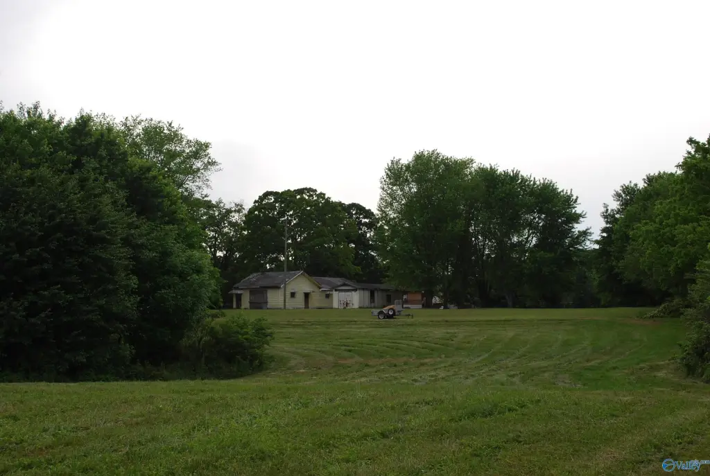 Picture 30