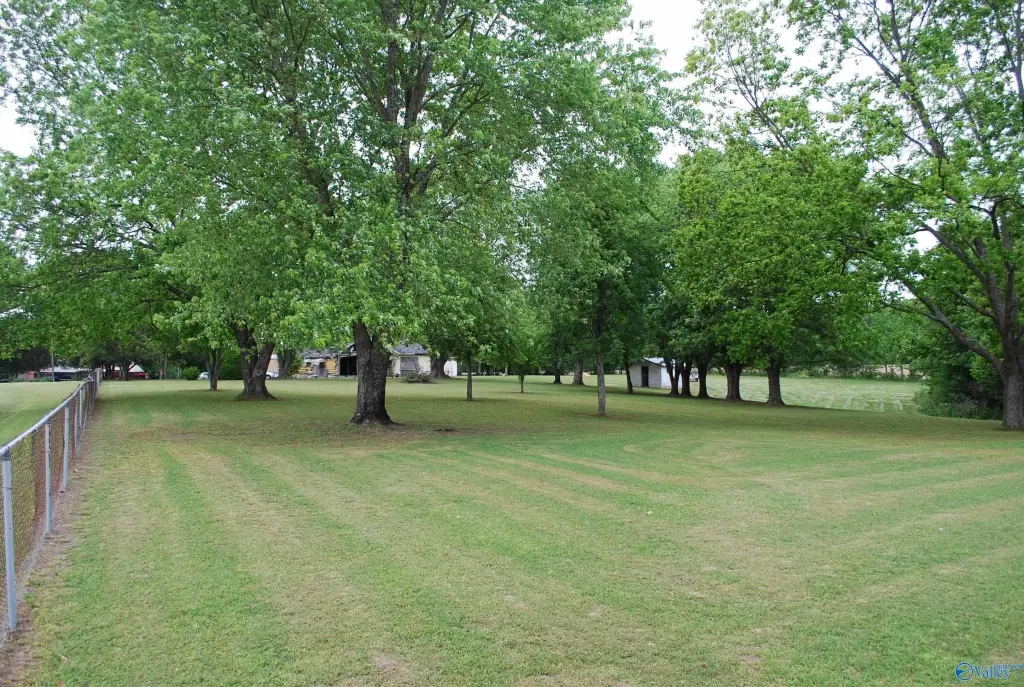 Picture 16