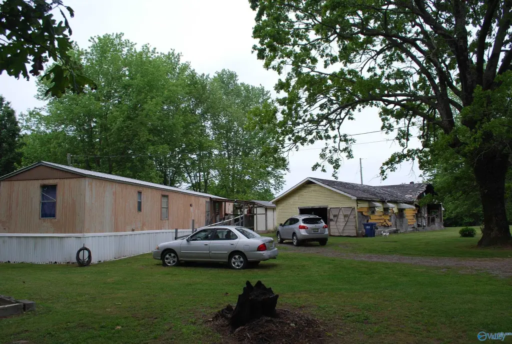 Picture 19
