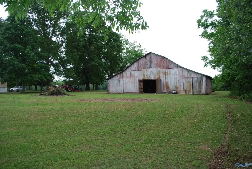 Picture 3