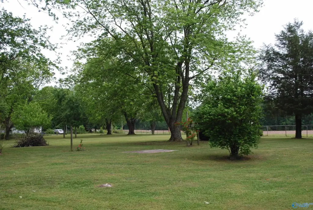 Picture 20