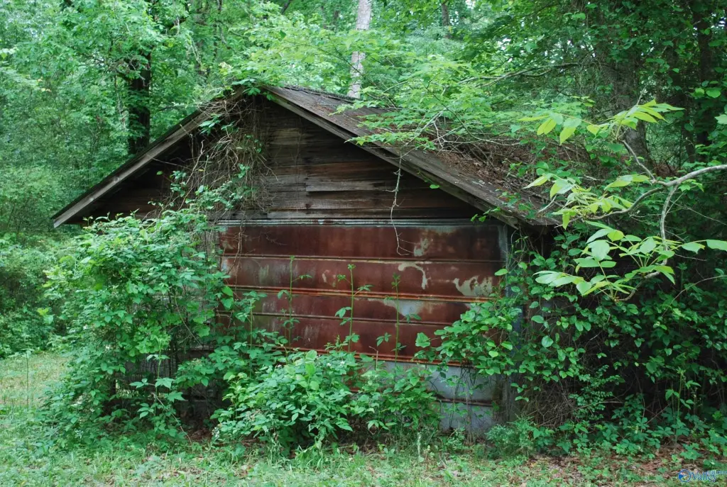 Picture 28