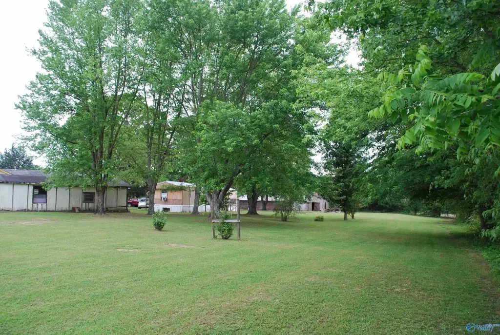 Picture 11