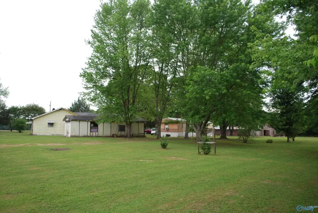 Picture 10