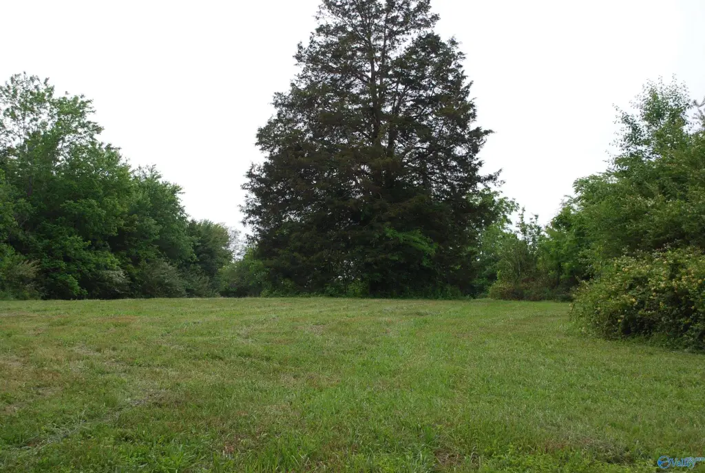 Picture 29