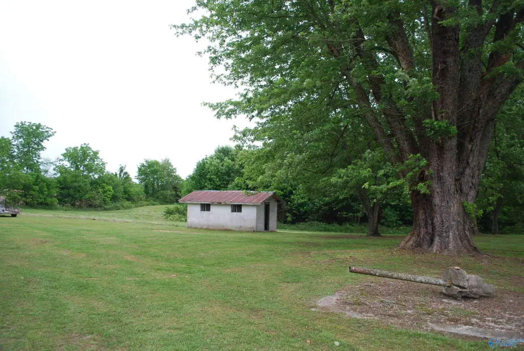 Picture 25