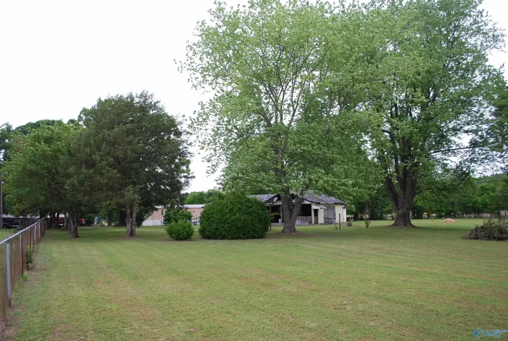 Picture 17