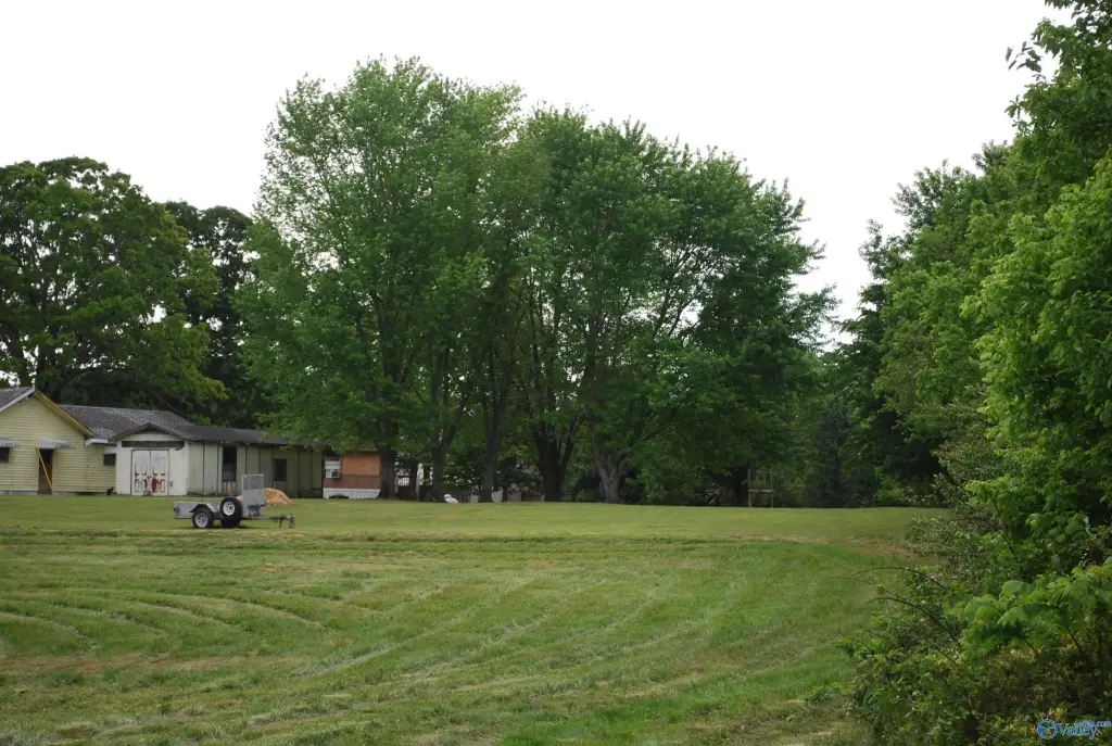Picture 31