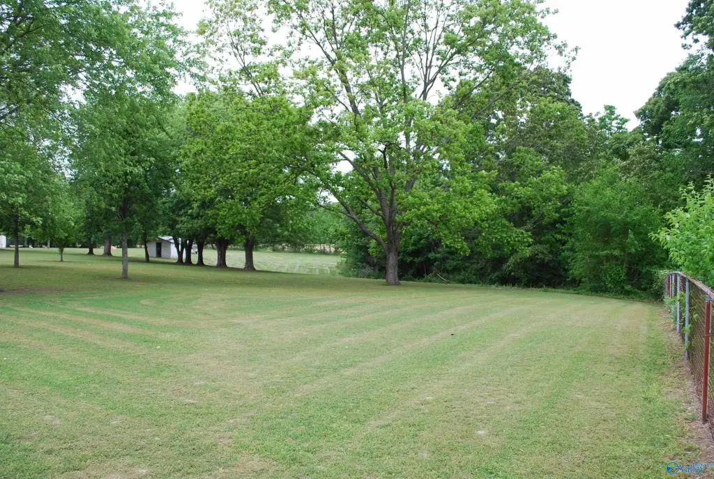 Picture 15