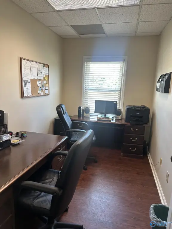 Picture 11