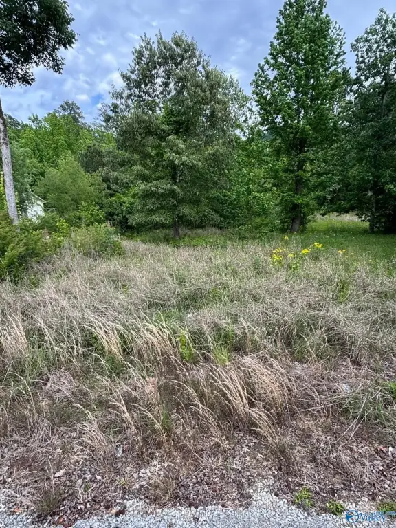Picture 11
